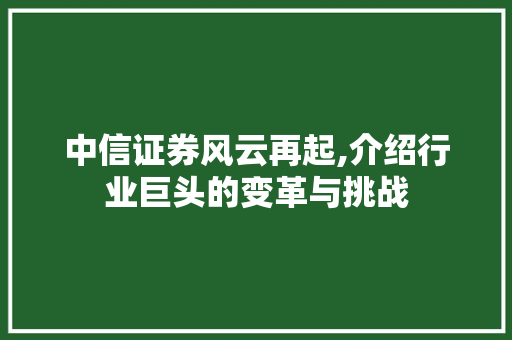 中信证券风云再起,介绍行业巨头的变革与挑战 中信证券风云再起,介绍行业巨头的变革与挑战