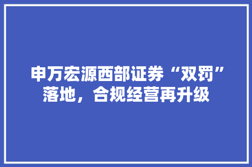 申万宏源西部证券“双罚”落地，合规经营再升级