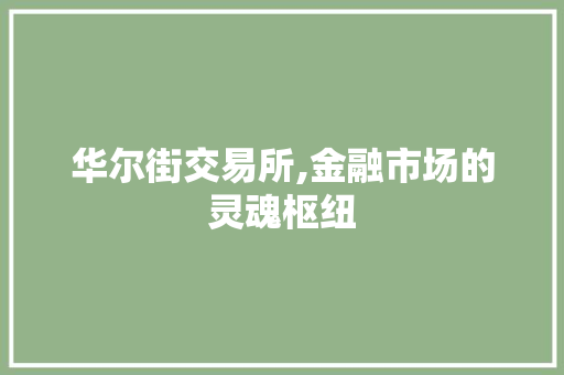 华尔街交易所,金融市场的灵魂枢纽
