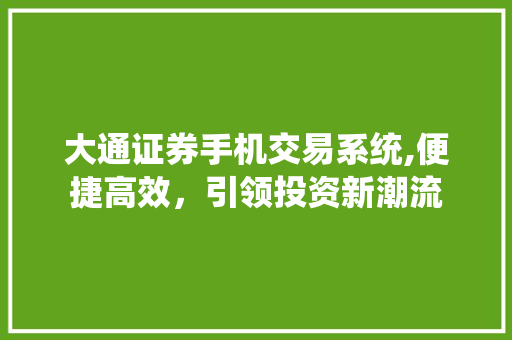 大通证券手机交易系统,便捷高效，引领投资新潮流