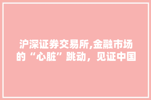 沪深证券交易所,金融市场的“心脏”跳动，见证中国资本市场的辉煌历程