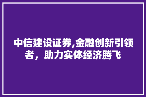 中信建设证券,金融创新引领者，助力实体经济腾飞