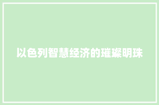 以色列智慧经济的璀璨明珠 以色列智慧经济的璀璨明珠