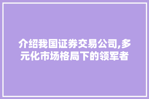 介绍我国证券交易公司,多元化市场格局下的领军者 介绍我国证券交易公司,多元化市场格局下的领军者