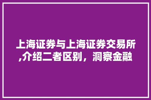 上海证券与上海证券交易所,介绍二者区别,洞察金融市场的脉络 上海证券与上海证券交易所,介绍二者区别,洞察金融市场的脉络