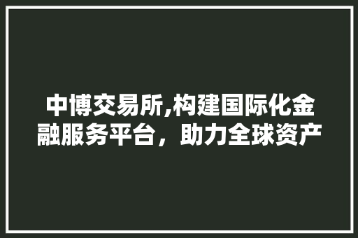 中博交易所,构建国际化金融服务平台,助力全球资产配置新格局 中博交易所,构建国际化金融服务平台,助力全球资产配置新格局