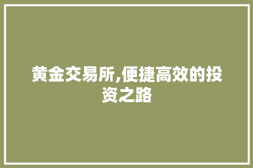 黄金交易所,便捷高效的投资之路 黄金交易所,便捷高效的投资之路