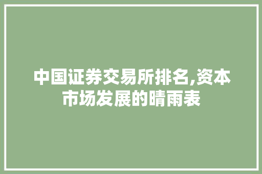 中国证券交易所排名,资本市场发展的晴雨表 中国证券交易所排名,资本市场发展的晴雨表