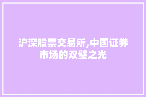 沪深股票交易所,中国证券市场的双璧之光 沪深股票交易所,中国证券市场的双璧之光