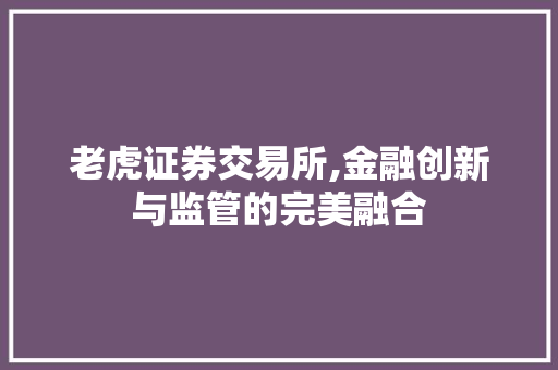 老虎证券交易所,金融创新与监管的完美融合 老虎证券交易所,金融创新与监管的完美融合