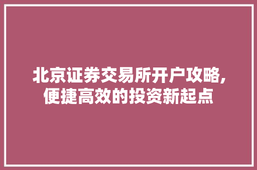 北京证券交易所开户攻略,便捷高效的投资新起点 北京证券交易所开户攻略,便捷高效的投资新起点