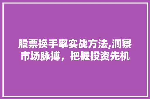 股票换手率实战方法,洞察市场脉搏,把握投资先机 股票换手率实战方法,洞察市场脉搏,把握投资先机