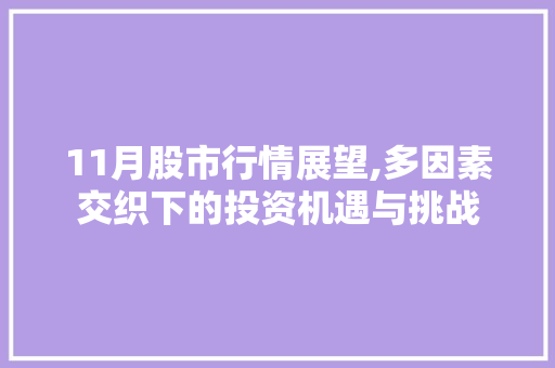 11月股市行情展望,多因素交织下的投资机遇与挑战