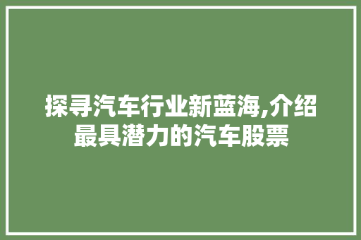 探寻汽车行业新蓝海,介绍最具潜力的汽车股票