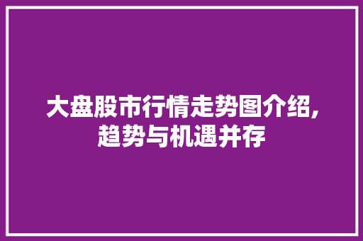 大盘股市行情走势图介绍,趋势与机遇并存