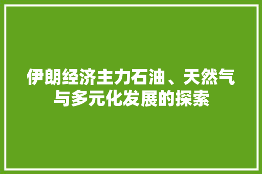 伊朗经济主力石油、天然气与多元化发展的探索 伊朗经济主力石油、天然气与多元化发展的探索