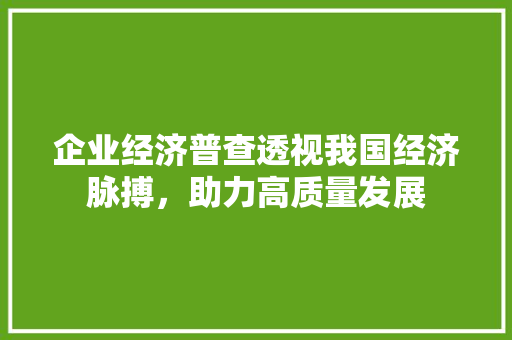 企业经济普查透视我国经济脉搏,助力高质量发展 企业经济普查透视我国经济脉搏,助力高质量发展