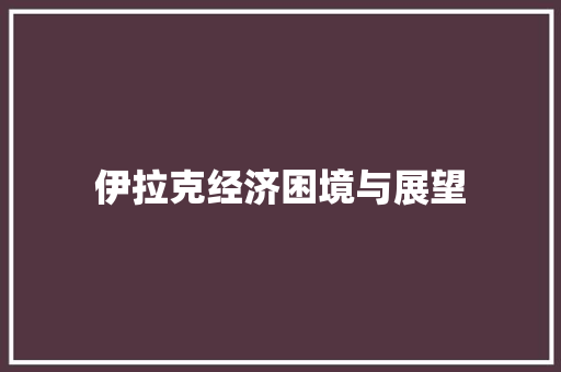 伊拉克经济困境与展望 伊拉克经济困境与展望