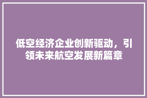 低空经济企业创新驱动,引领未来航空发展新篇章 低空经济企业创新驱动,引领未来航空发展新篇章