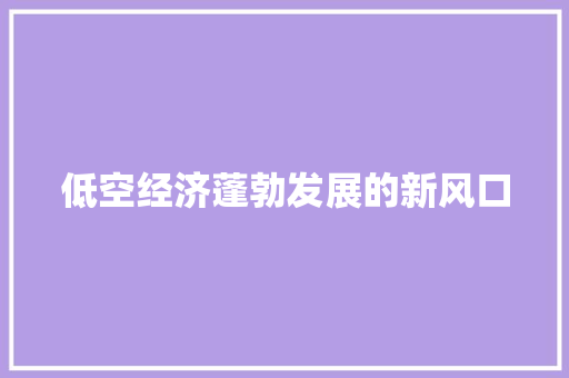 低空经济蓬勃发展的新风口 低空经济蓬勃发展的新风口