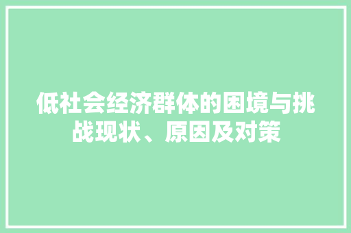 低社会经济群体的困境与挑战现状、原因及对策 低社会经济群体的困境与挑战现状、原因及对策