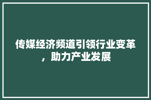 传媒经济频道引领行业变革,助力产业发展 传媒经济频道引领行业变革,助力产业发展