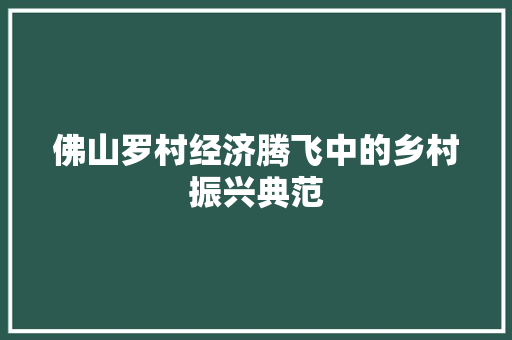 佛山罗村经济腾飞中的乡村振兴典范