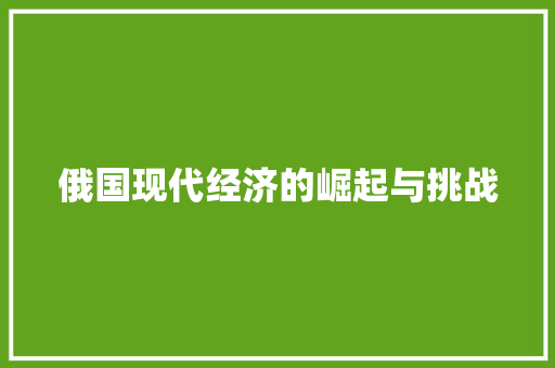 俄国现代经济的崛起与挑战 俄国现代经济的崛起与挑战