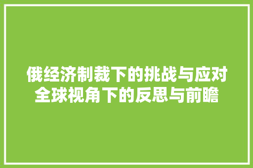 俄经济制裁下的挑战与应对全球视角下的反思与前瞻 俄经济制裁下的挑战与应对全球视角下的反思与前瞻