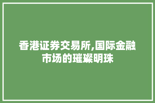 香港证券交易所,国际金融市场的璀璨明珠 香港证券交易所,国际金融市场的璀璨明珠