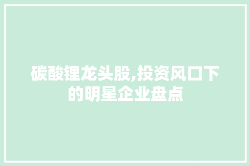 碳酸锂龙头股,投资风口下的明星企业盘点 碳酸锂龙头股,投资风口下的明星企业盘点