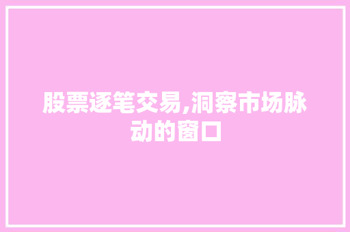 股票逐笔交易,洞察市场脉动的窗口 股票逐笔交易,洞察市场脉动的窗口