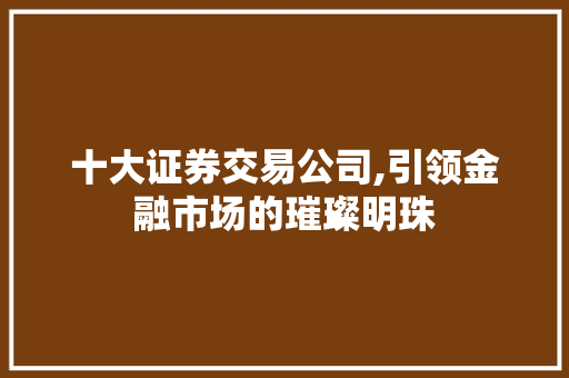 十大证券交易公司,引领金融市场的璀璨明珠 十大证券交易公司,引领金融市场的璀璨明珠