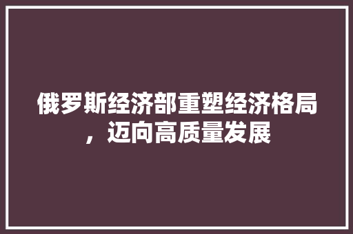 俄罗斯经济部重塑经济格局,迈向高质量发展 俄罗斯经济部重塑经济格局,迈向高质量发展