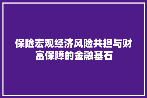 保险宏观经济风险共担与财富保障的金融基石 保险宏观经济风险共担与财富保障的金融基石