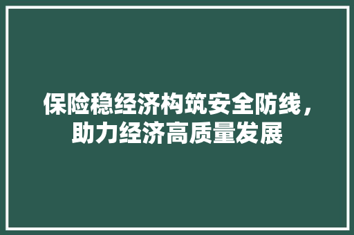 保险稳经济构筑安全防线，助力经济高质量发展