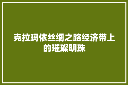克拉玛依丝绸之路经济带上的璀璨明珠 克拉玛依丝绸之路经济带上的璀璨明珠