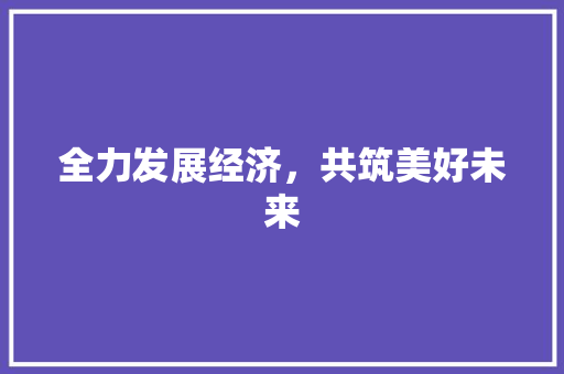 全力发展经济,共筑美好未来 全力发展经济,共筑美好未来