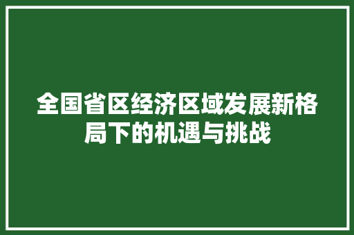 全国省区经济区域发展新格局下的机遇与挑战 全国省区经济区域发展新格局下的机遇与挑战
