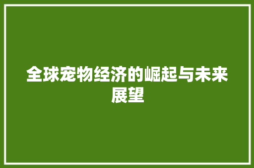 全球宠物经济的崛起与未来展望 全球宠物经济的崛起与未来展望