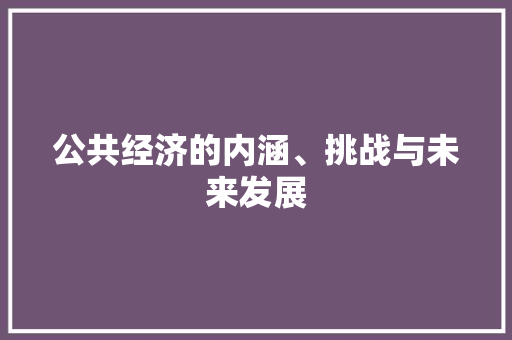 公共经济的内涵、挑战与未来发展 公共经济的内涵、挑战与未来发展