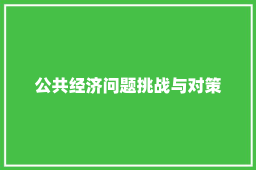公共经济问题挑战与对策 公共经济问题挑战与对策