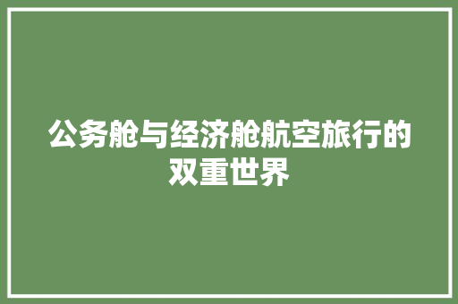 公务舱与经济舱航空旅行的双重世界 公务舱与经济舱航空旅行的双重世界