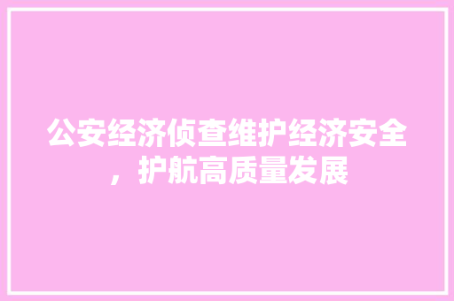 公安经济侦查维护经济安全,护航高质量发展 公安经济侦查维护经济安全,护航高质量发展
