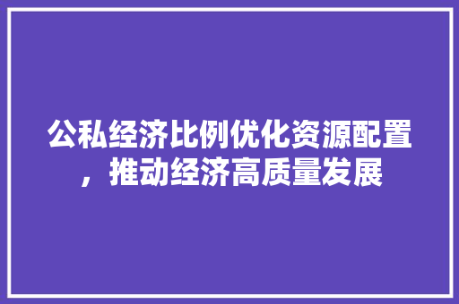 公私经济比例优化资源配置，推动经济高质量发展