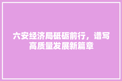 六安经济局砥砺前行,谱写高质量发展新篇章 六安经济局砥砺前行,谱写高质量发展新篇章