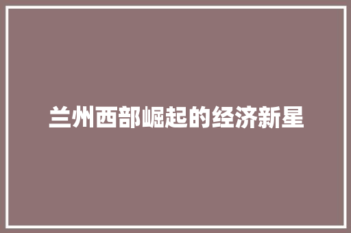 兰州西部崛起的经济新星 兰州西部崛起的经济新星
