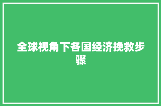 全球视角下各国经济挽救步骤 全球视角下各国经济挽救步骤