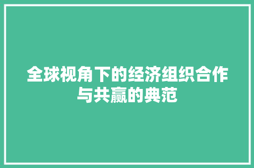 全球视角下的经济组织合作与共赢的典范 全球视角下的经济组织合作与共赢的典范