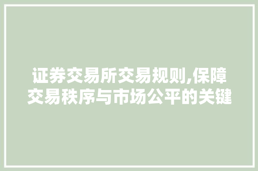 证券交易所交易规则,保障交易秩序与市场公平的关键